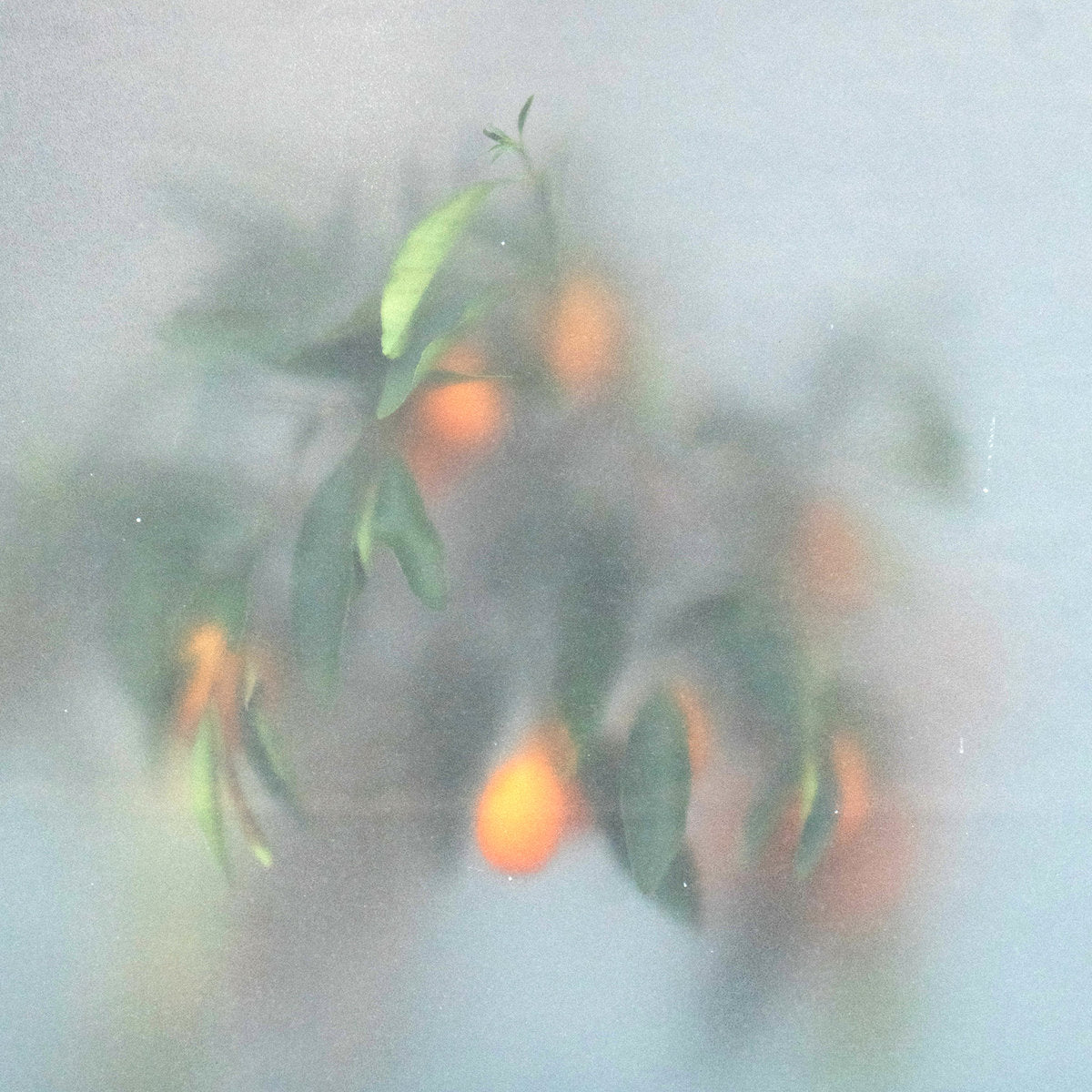 µ-Ziq & Mrs Jynx - Secret Garden vinyl album