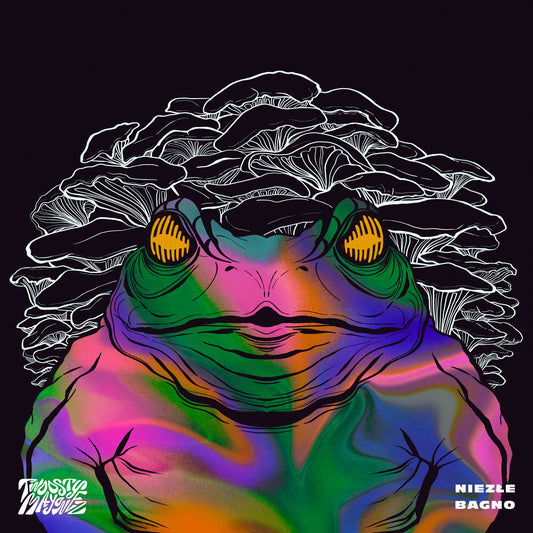 Twoosty Mayonez - Niezłe Bagno vinyl album